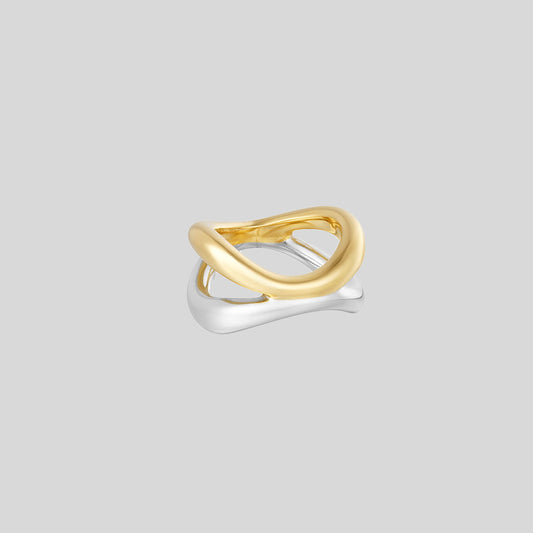 GOLD & SILVER ring